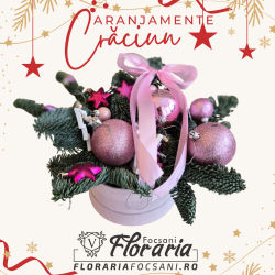 Aranjament Roz de Crăciun in cutie de catifea cu brad natural Nobilis