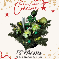 Aranjament Verde de Crăciun in cutie de catifea cu brad natural Nobilis