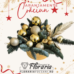 Aranjament Auriu de Crăciun in cutie de catifea cu brad natural Nobilis