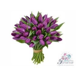Buchet 25 lalele mov