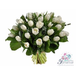 Buchet 25 lalele albe