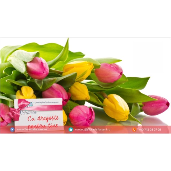 Bouquet 11 tulips